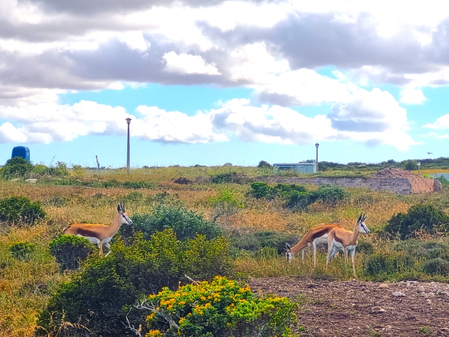 4 Bedroom Property for Sale in Hoogland Western Cape